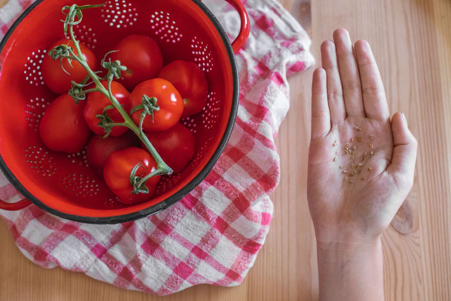 Tips about methods to Save Tomato Seeds: Step-by-Step Instructions